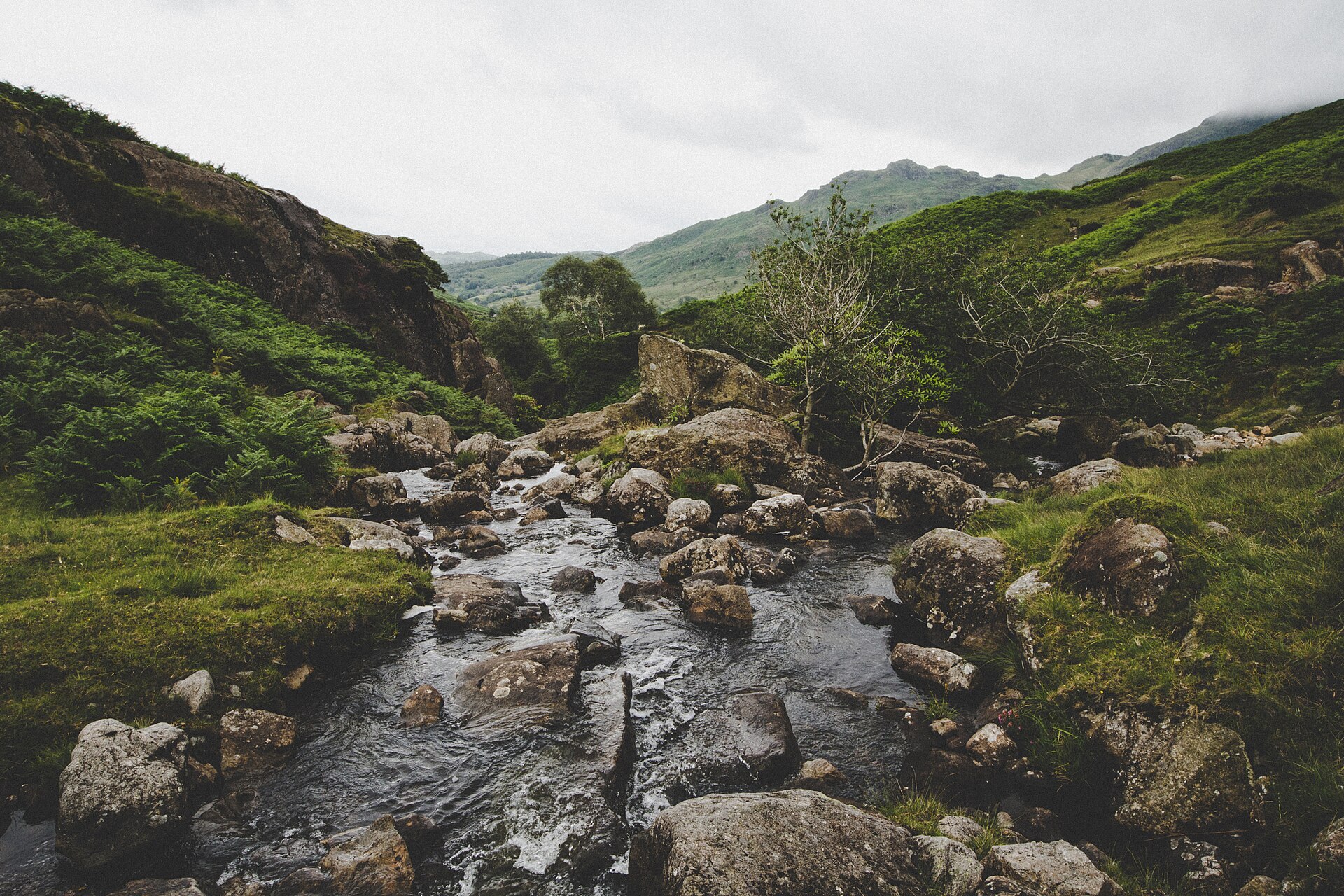 Rocky stream and green fells, Lake District National Park